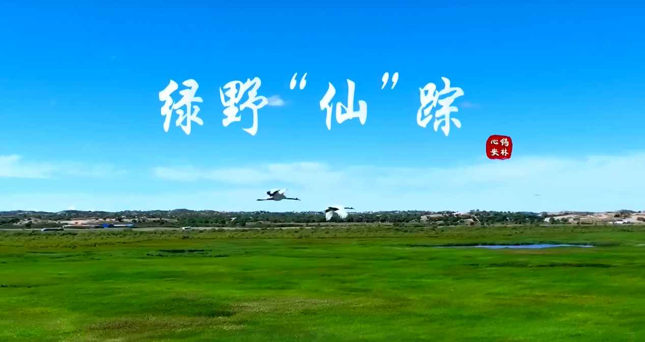 绿野“仙”踪——心安之处是吾乡 锡林浩特