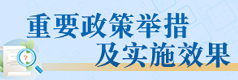 重要政策举措及实施效果