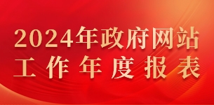 政府网站工作年度报表