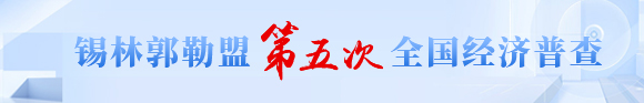 第五次全国经济普查