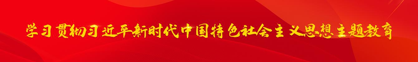 学习贯彻习近平新时代中国特色社会主义思想主题教育