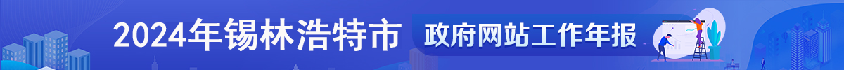 2024年度政府网站工作年度报表