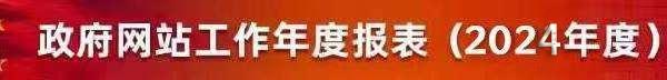 2024年政府网站公开年报