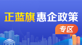 惠企政策专区
