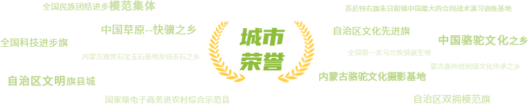 城市荣誉