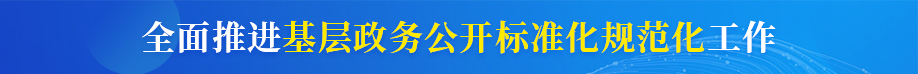 全面推进基层政务公开标准化规范化工作