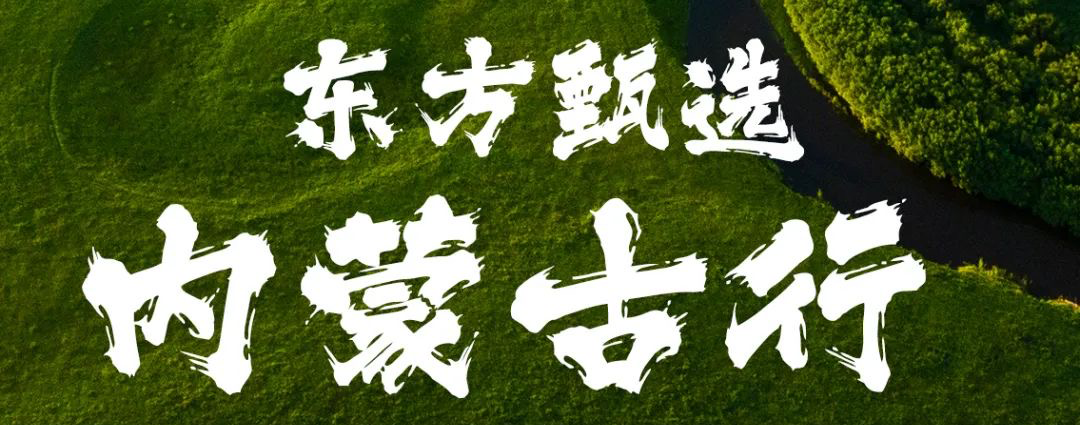 全网期待的董宇辉内蒙古小作文来了！