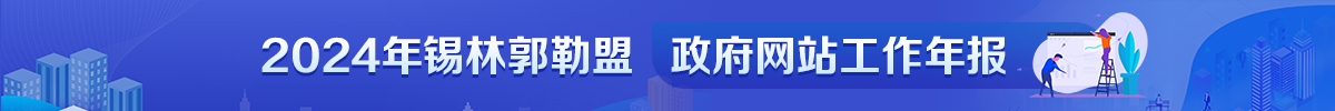 2024年政府网站工作年报