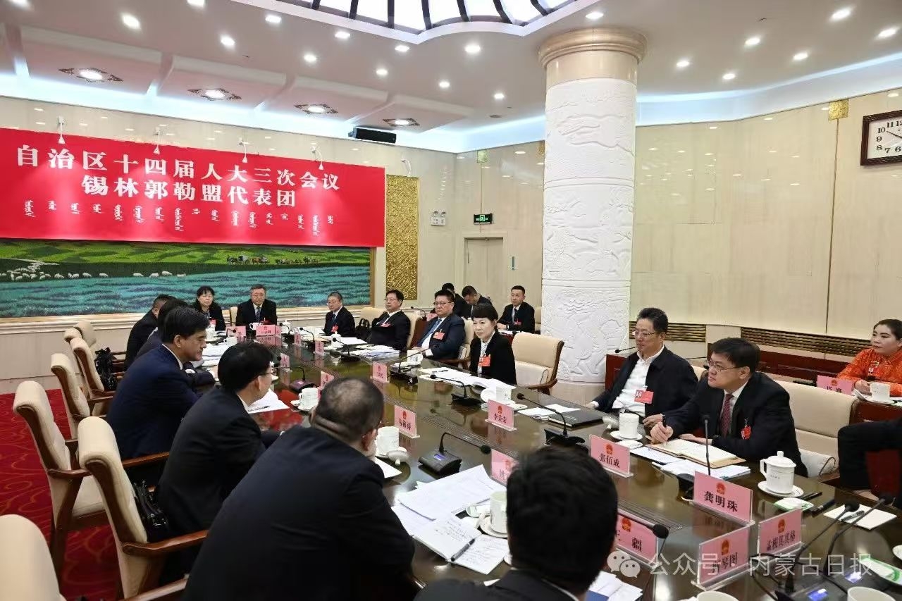 王莉霞在参加锡林郭勒盟代表团审议时说 大力弘扬蒙古马精神 跑出高质量发展加速度
