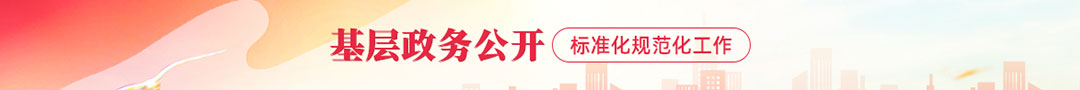 基层政府信息公开目录